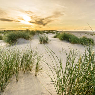 Stranden ved Skagen i smukt aftenlys.