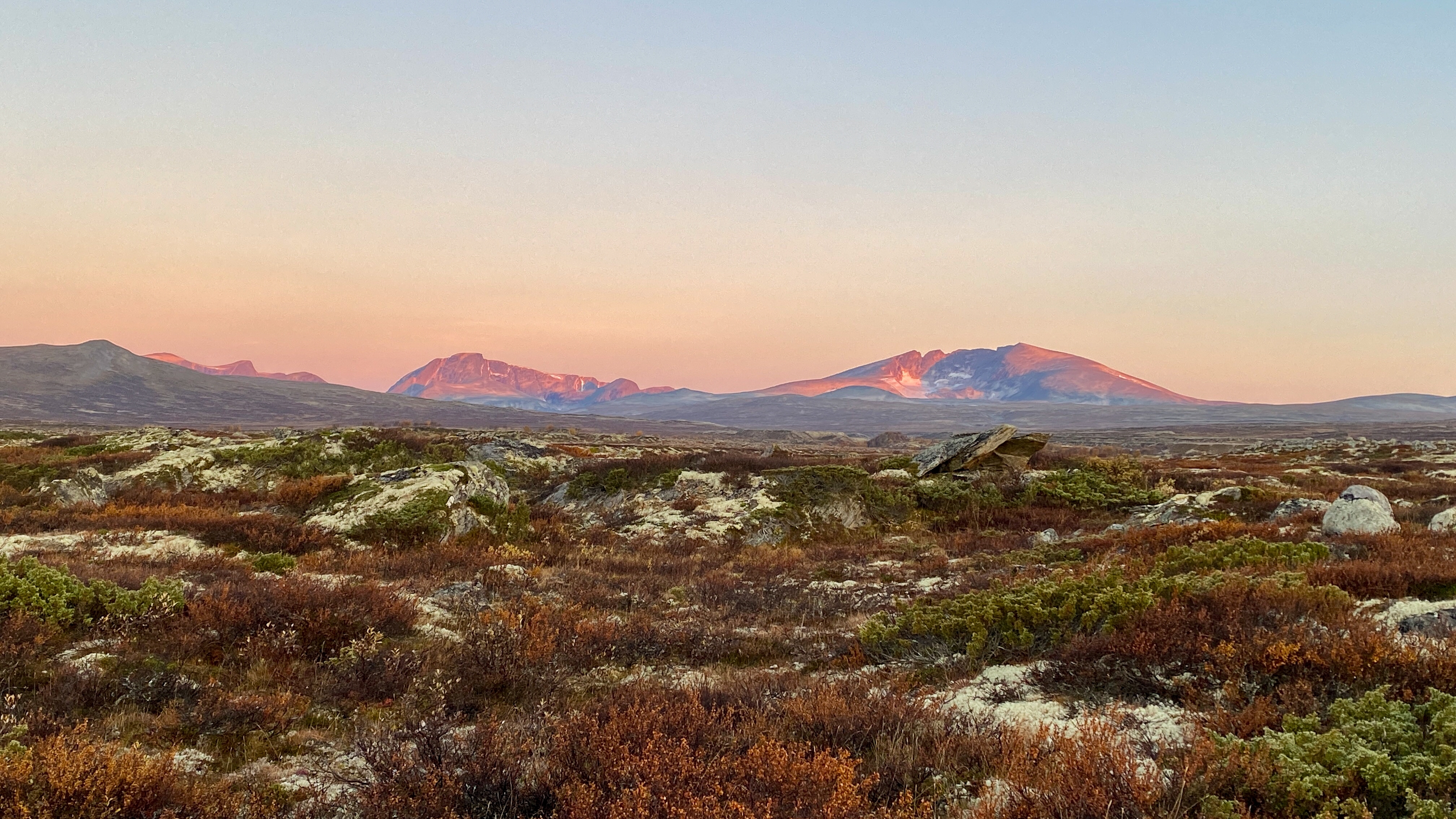 Norge Dovrefjell Nationalpark Udsigt Til Snoettabjerg