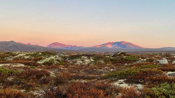 Norge Dovrefjell Nationalpark Udsigt Til Snoettabjerg