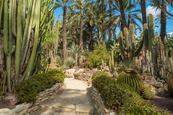 Sti i den botaniske have, Huerto del Cura, i Elche i Alicante i Spanien.