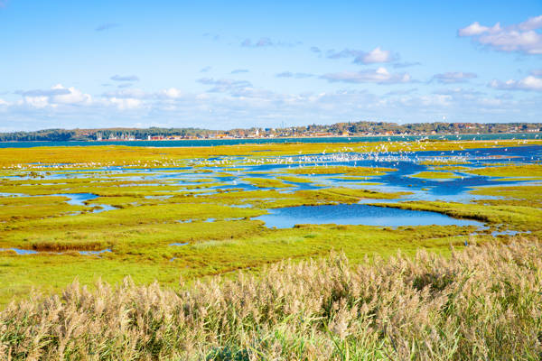 Limfjorden i Danmark.