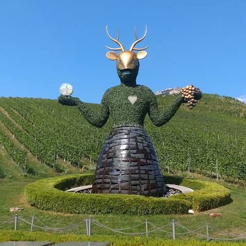 Weingut Hotel Taggenbrunns varemærke.