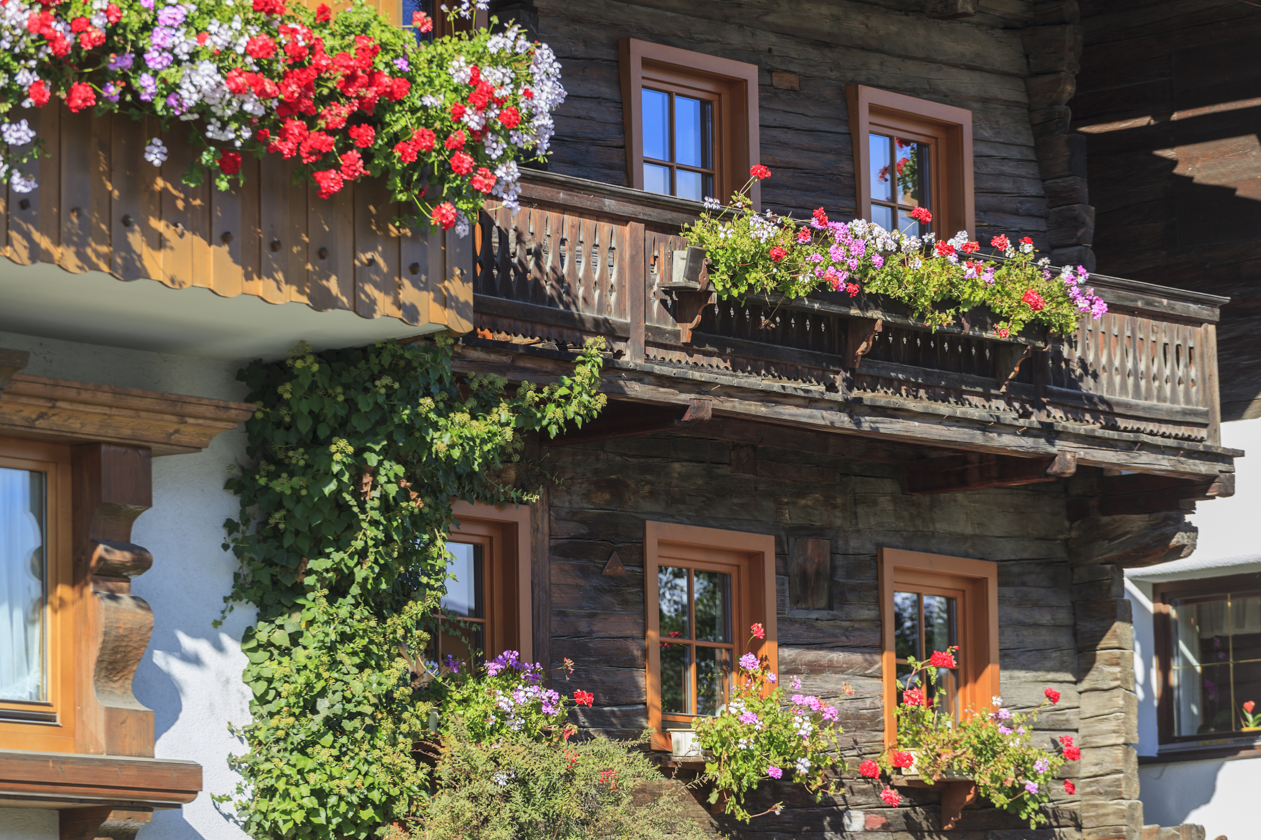 Blomsterkasser i fuld flor på typisk alpehytte i Tyrol i Østrig.