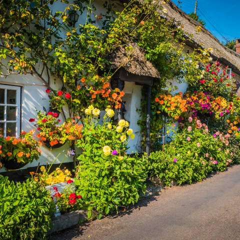 Små blomsterprydede huse i Cotswolds i Storbritannien.