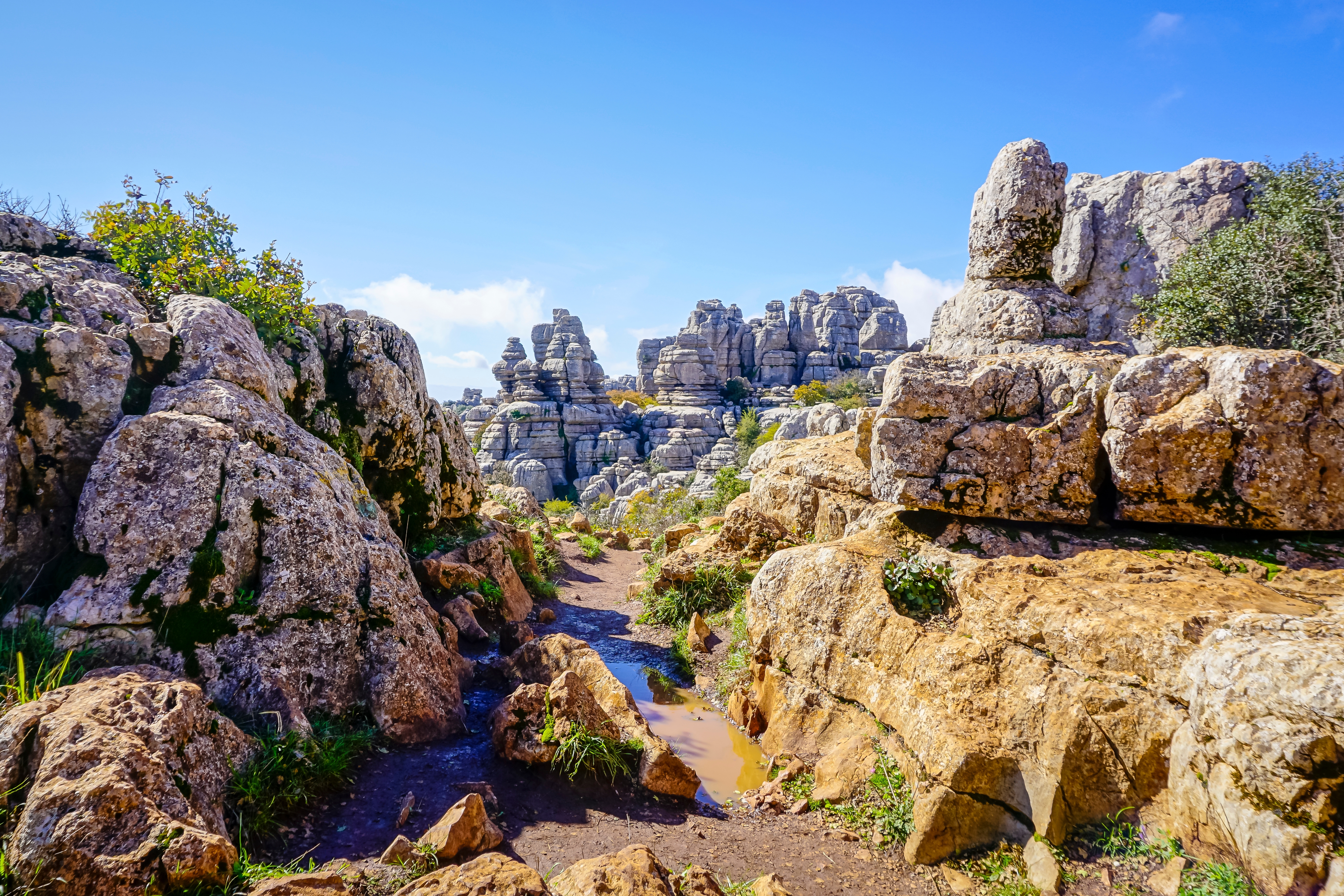 Klippelandskabet El Torcal de Antequera i bjergene bag Málaga i Spanien.