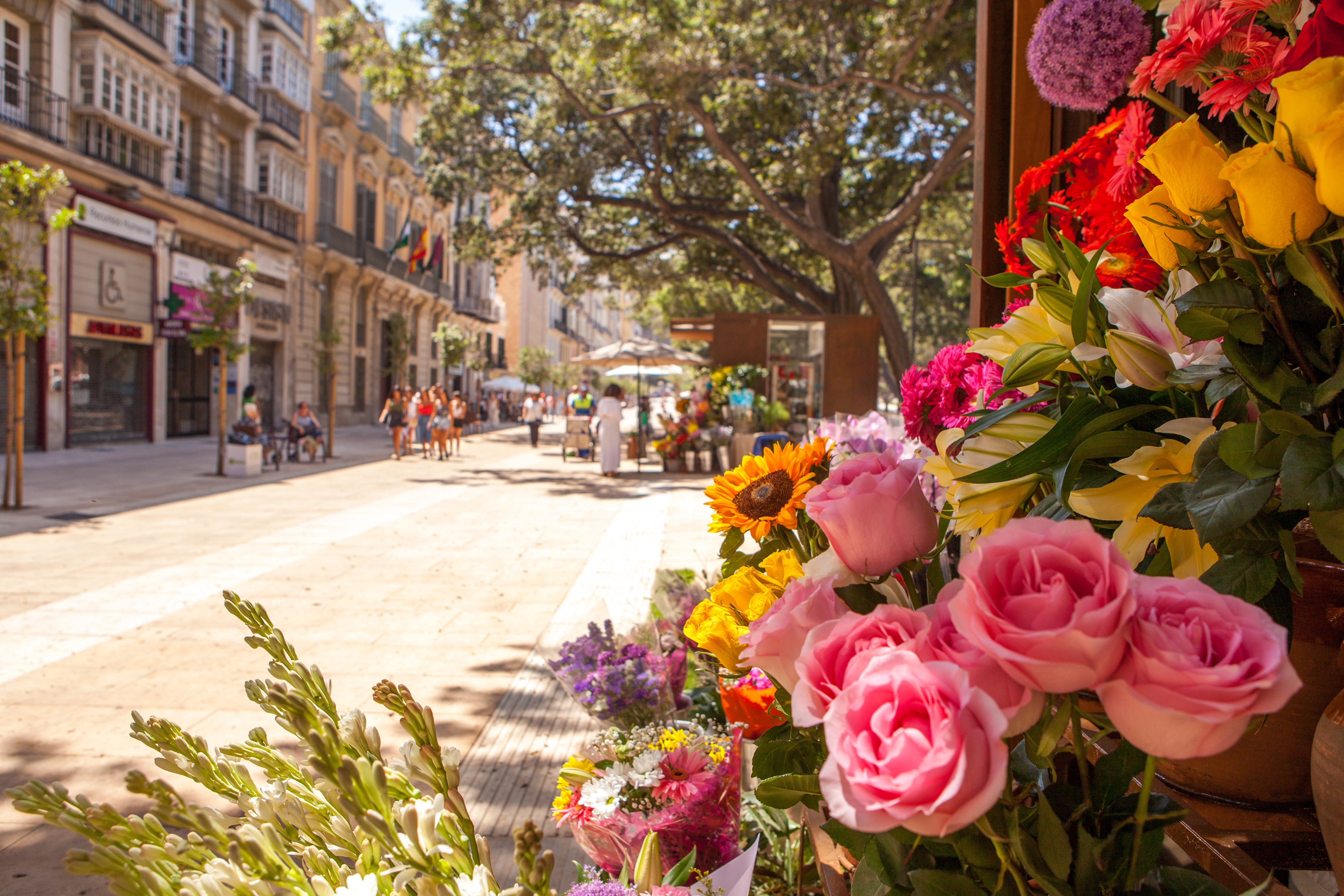 Gågade i Malaga i Spanien.