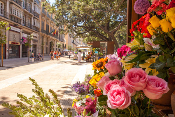Gågade i Malaga i Spanien.