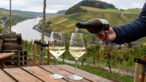 Riesling vin ved Mosel i Tyskland.