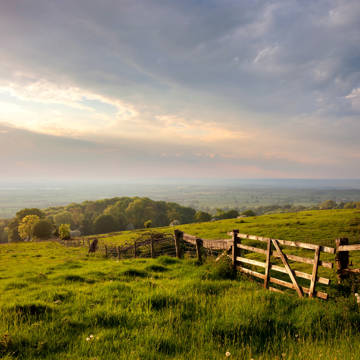 Udsigt over grønt marklandskab i Cotswolds i Sydengland.