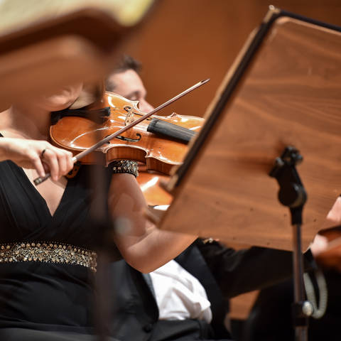 Diverse Philharmoni Koncert