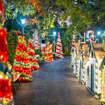 Julestemning i den hyggelige by Funchal på Maderia.