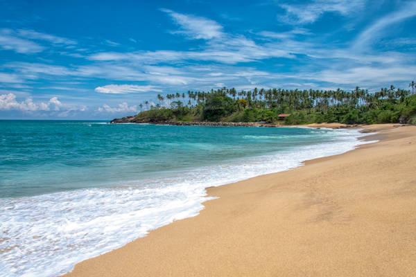 Smuk strand ved Bentota på Sri Lanka.