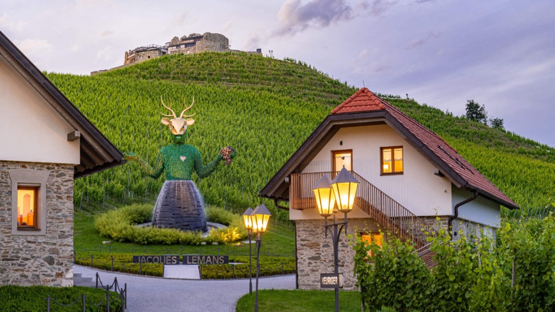 Wingut Hotel Taggenbrunn omgivet af vinmarker.