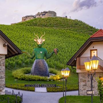 Wingut Hotel Taggenbrunn omgivet af vinmarker.