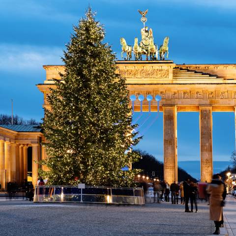 Juletræ ved Brandeburger Tor i Berlin i Tyskland.