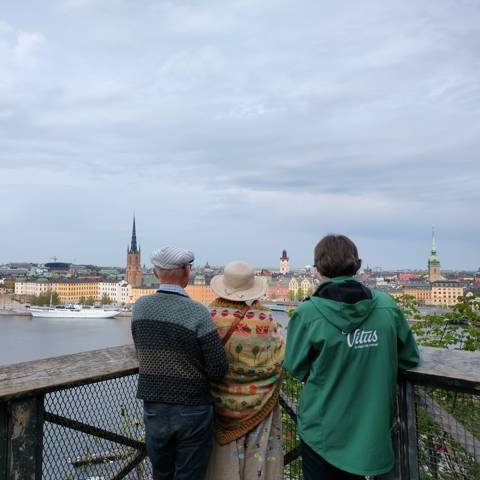 En rejseleder fra Vitus Rejser og to gæster nyder udsigten over Stockholm.