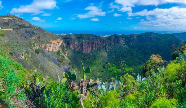 Caldera de Bandama på Gran Canaria.